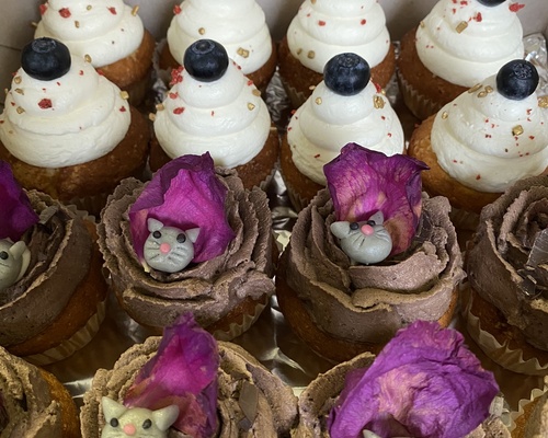 Cupcakes