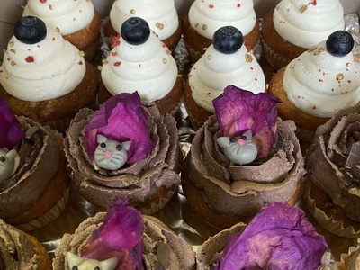 Cupcakes